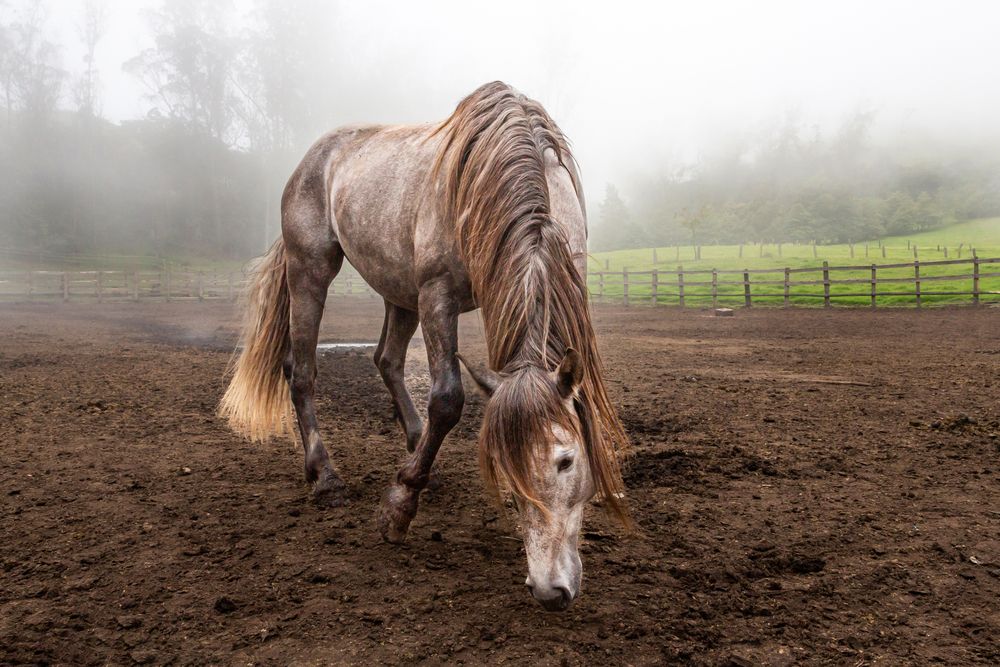 Photograph by Jorge Ivan Vasquez