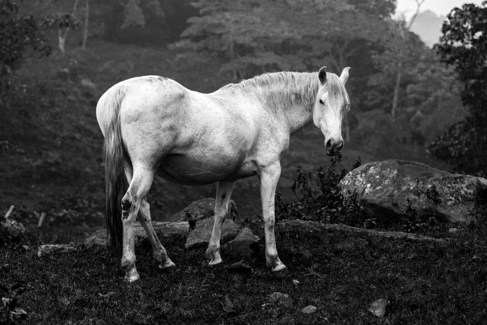 Photograph by Jorge Ivan Vasquez