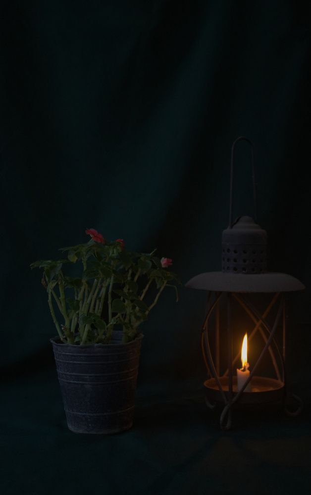 Фотография автора Guillermo Topp