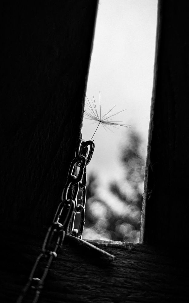 Photograph by Anna Na