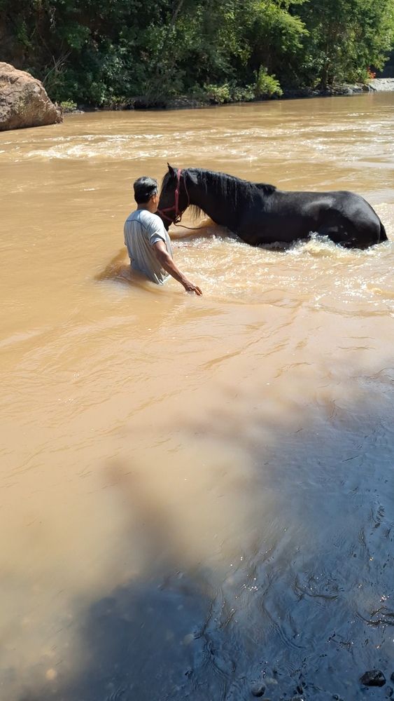 Фотография автора Angelica Aceves