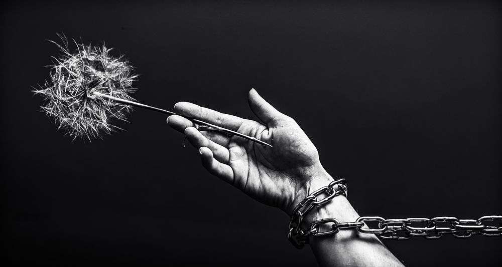 Photograph by Anna Na