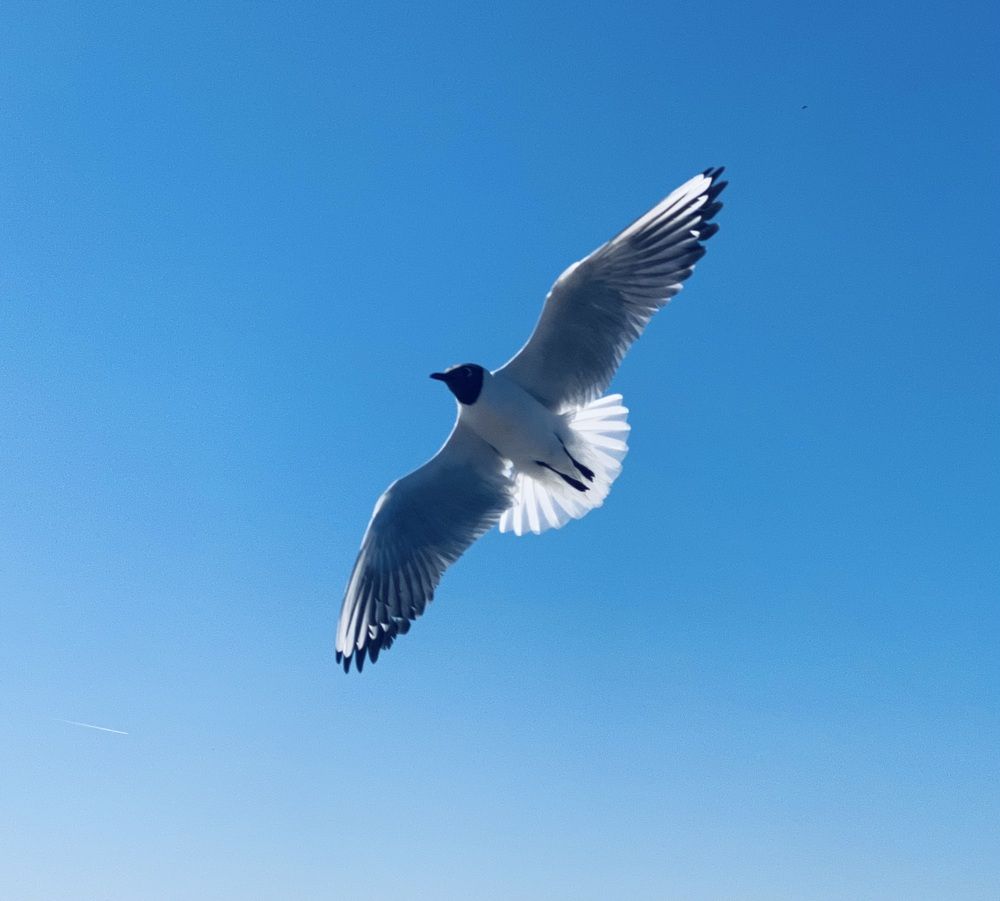 Photograph by Ксения Гулькова