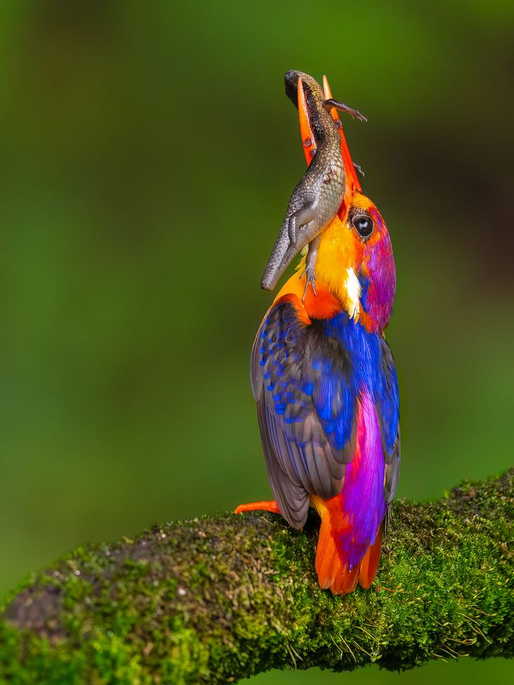 Photograph by Sandeep Shroff