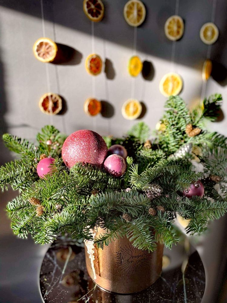 Photograph by Анастасия