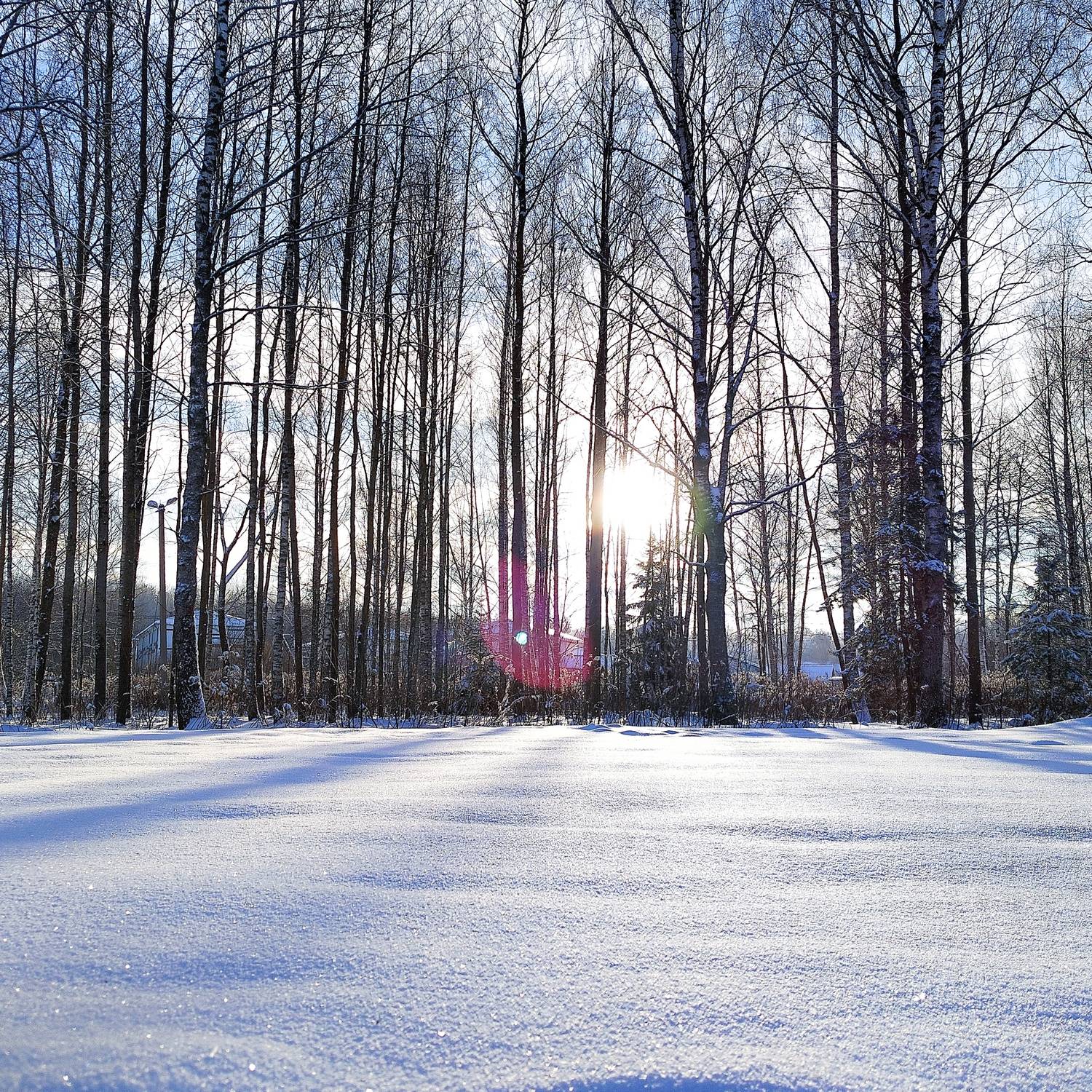 Photo #13119509
