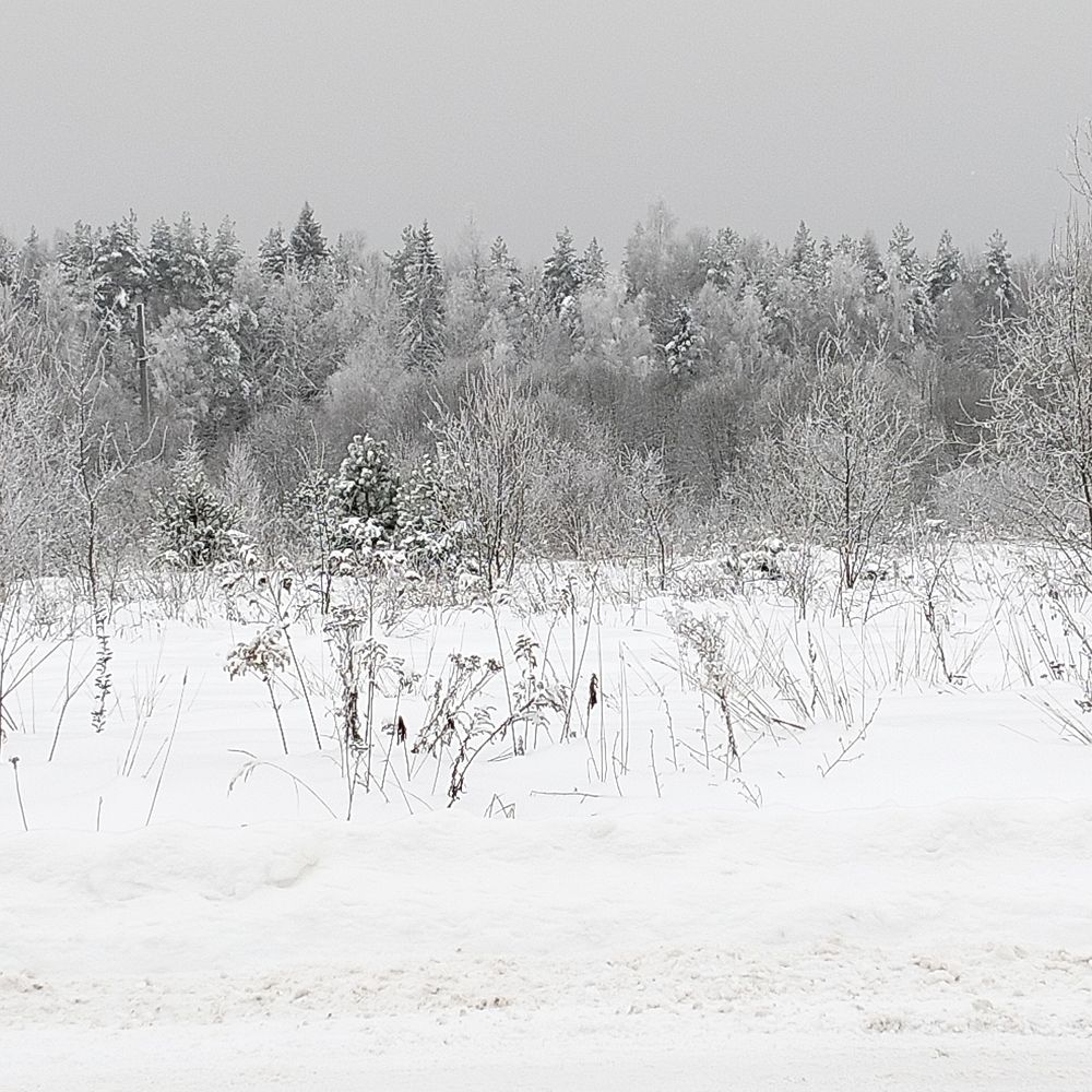 Photo #13119512