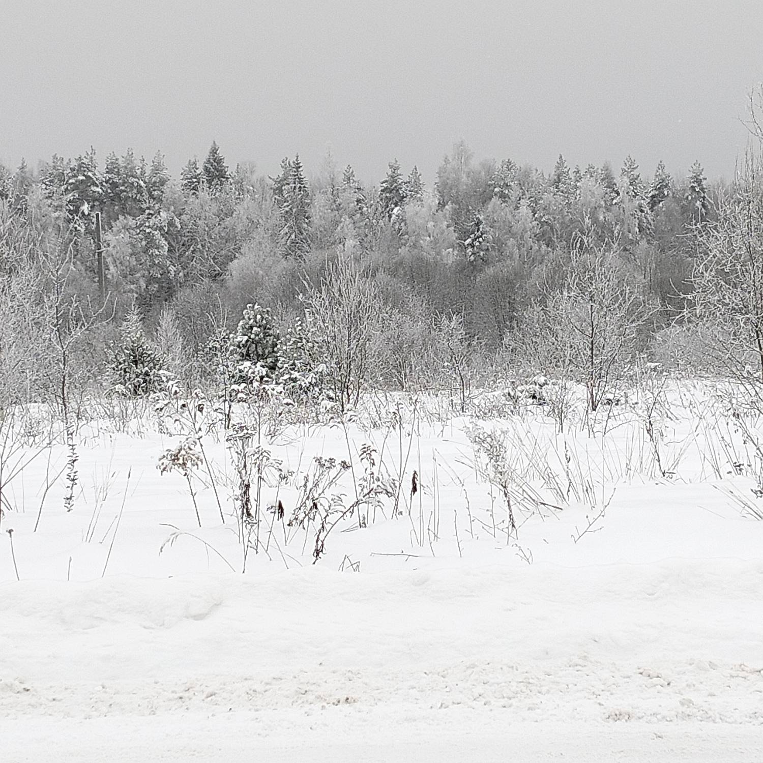 Photo #13119512