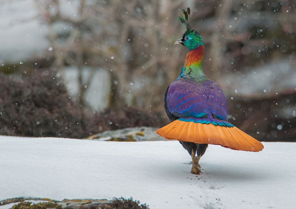 Photograph by Sandeep Shroff