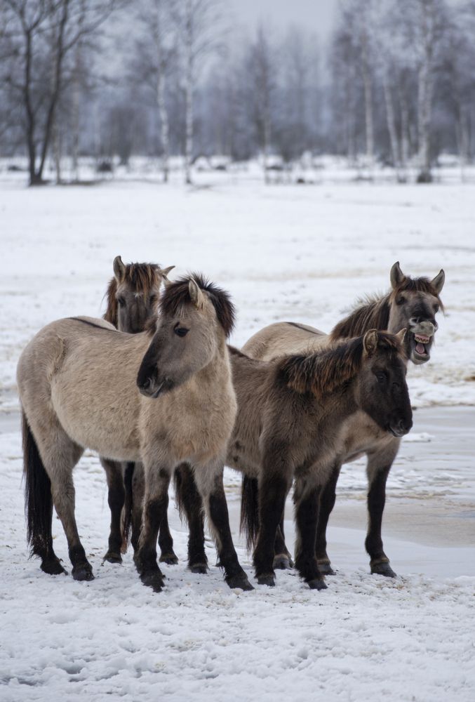 Photograph by Leanid Kulpo