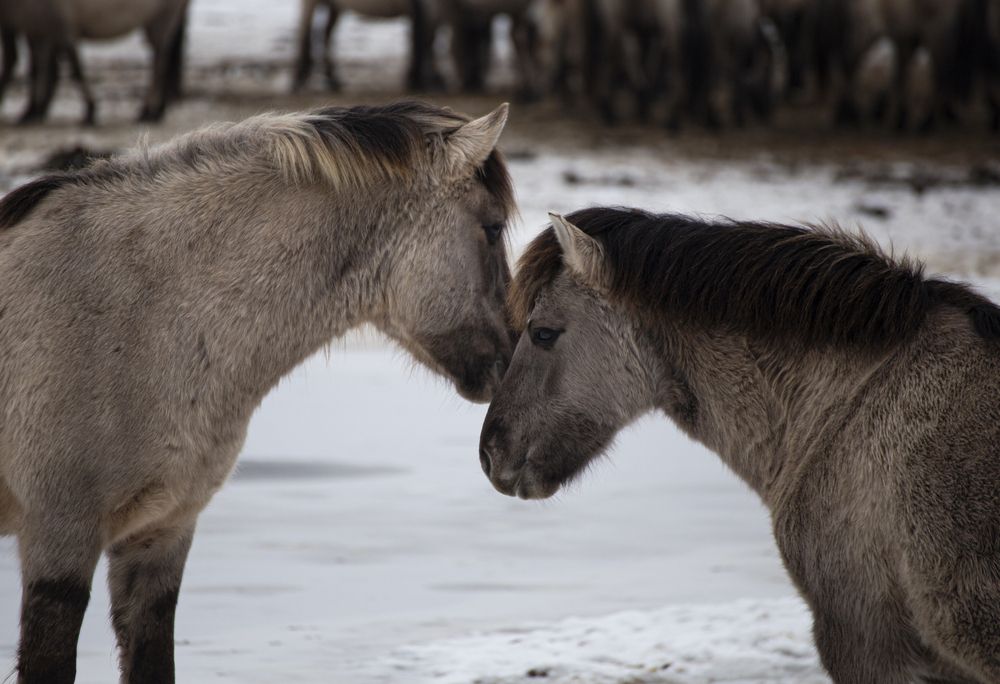 Photograph by Leanid Kulpo