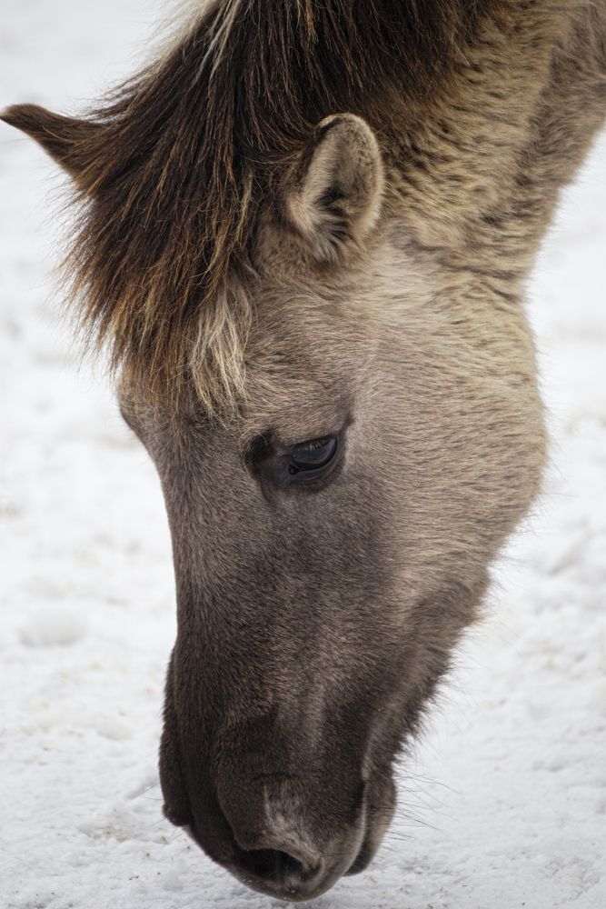 Photograph by Leanid Kulpo