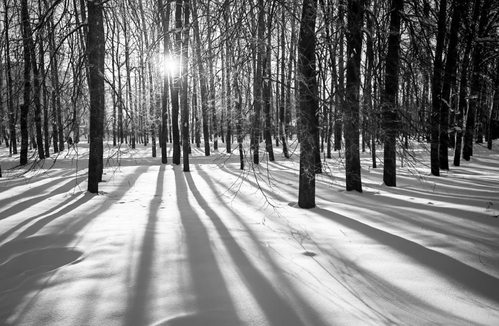 Фотография автора Татьяна Романова