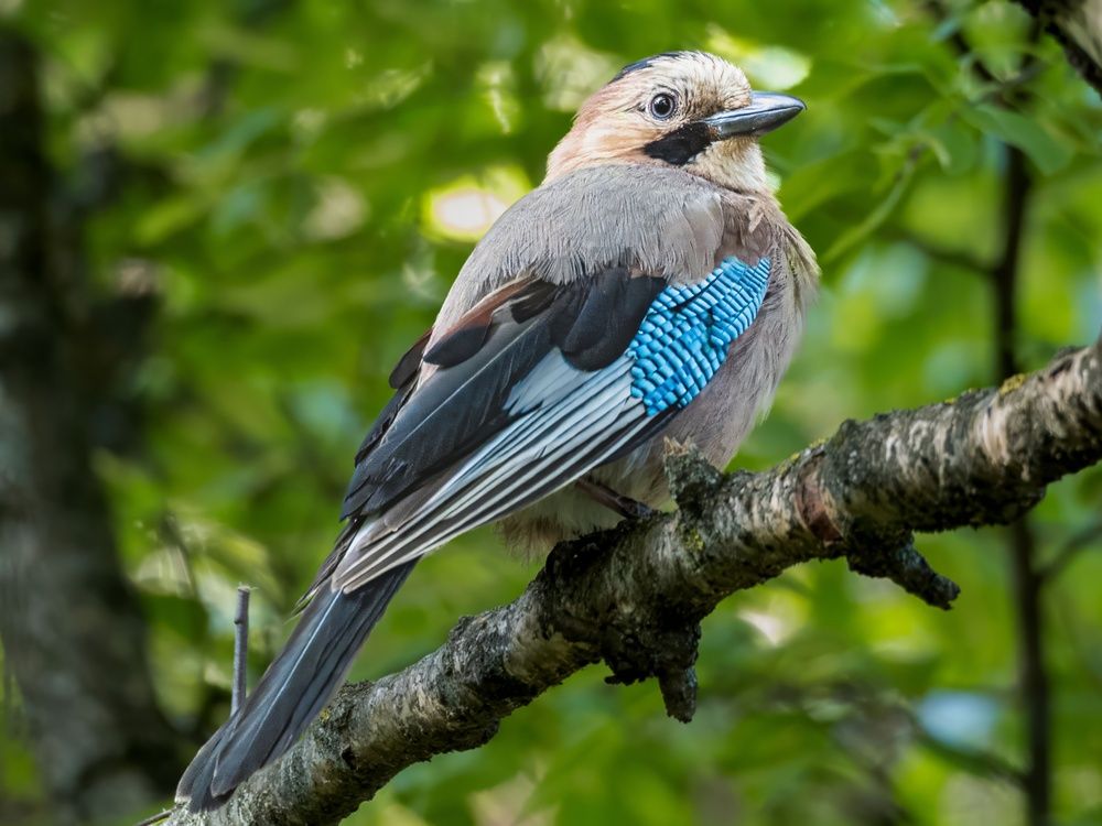 Photograph by Борис Полтавец