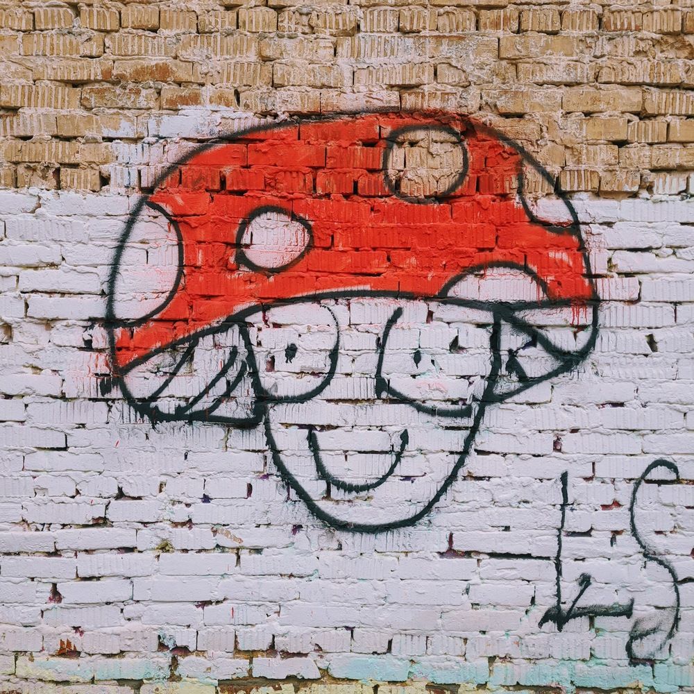 Photograph by Ксения Шилина