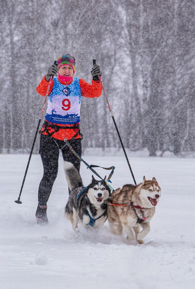 Photograph by Елена Павлова