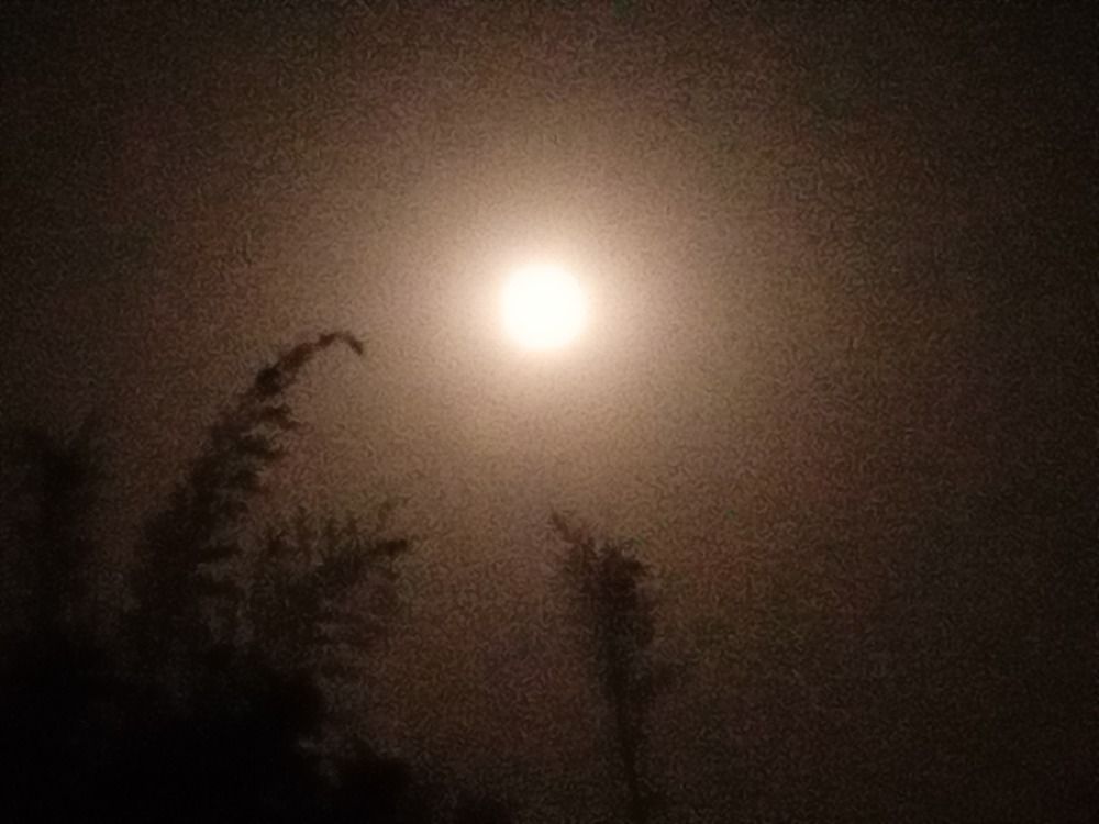 Photo #13119631