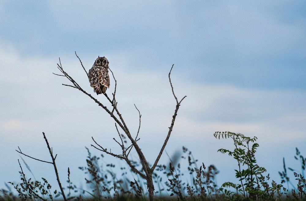 Photograph by Гудкова Ольга