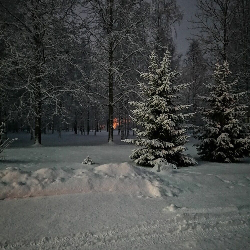Photograph by Артыкова Муаззама