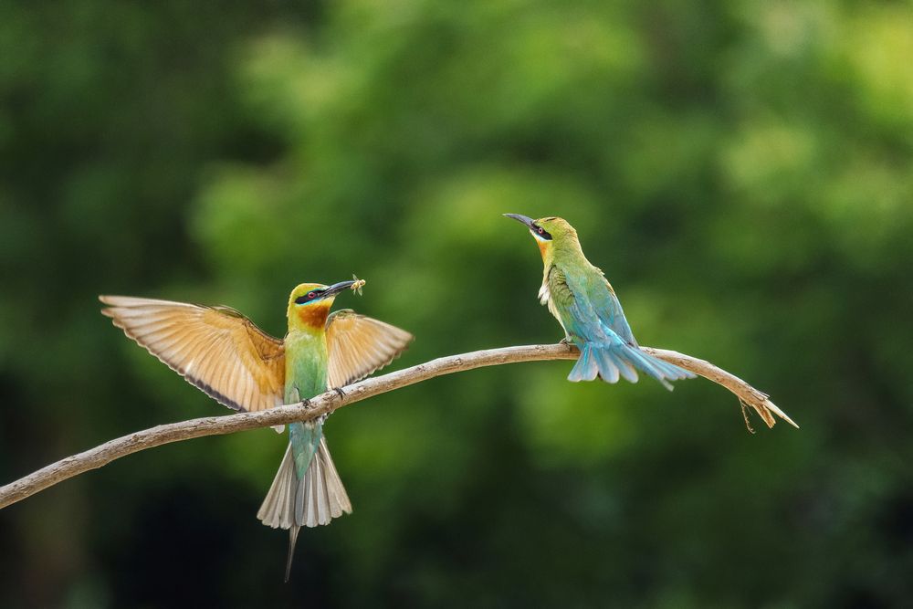 Photograph by Arkachanda Roy
