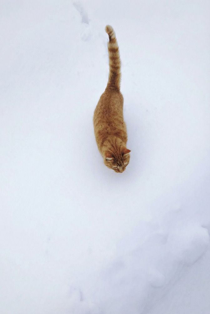 Photograph by Миша Лавашик