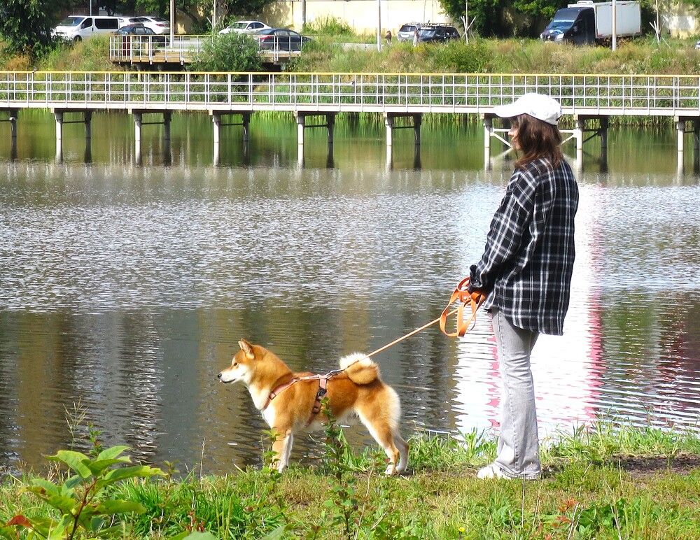Photograph by Николай Горбачёв