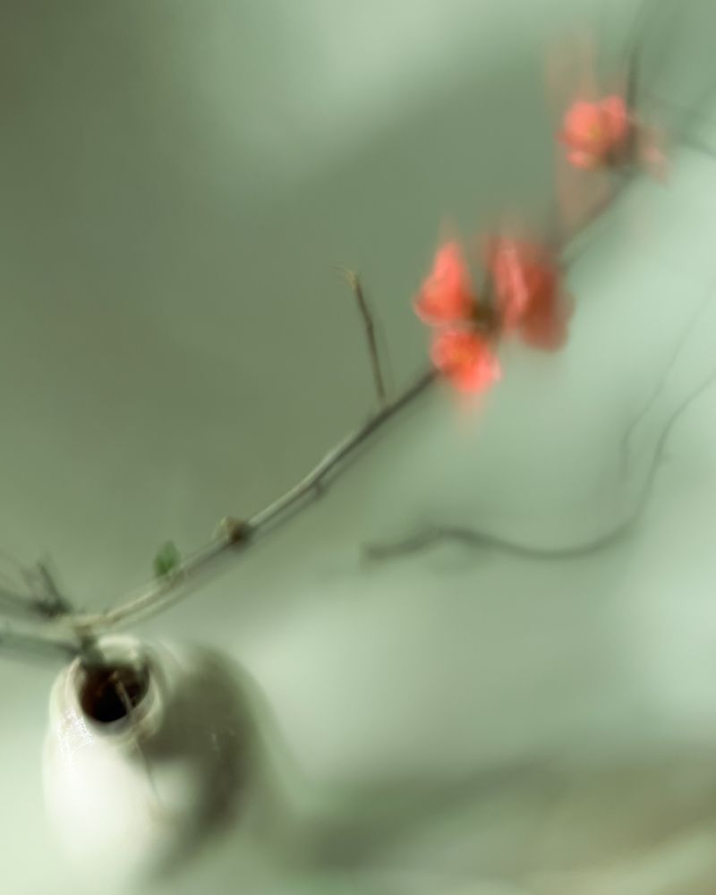 Photograph by Евгения