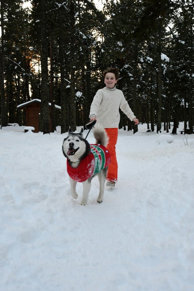 Photograph by Regina Belomytseva-Dahan