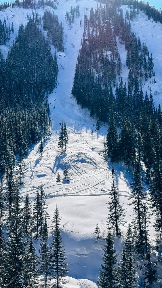 Photograph by Анна Белка