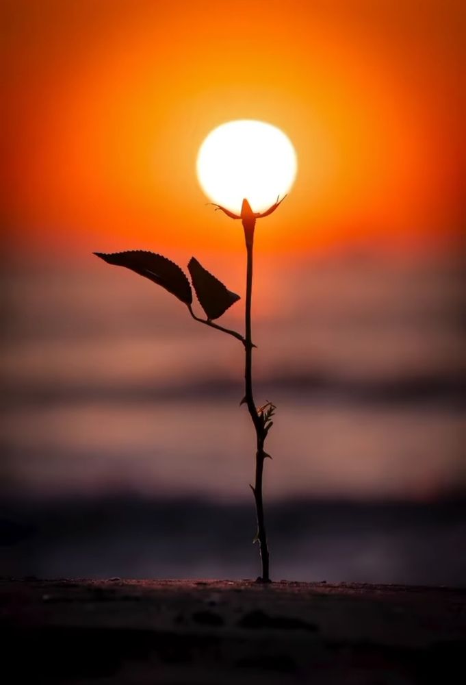 Photograph by Ramya J