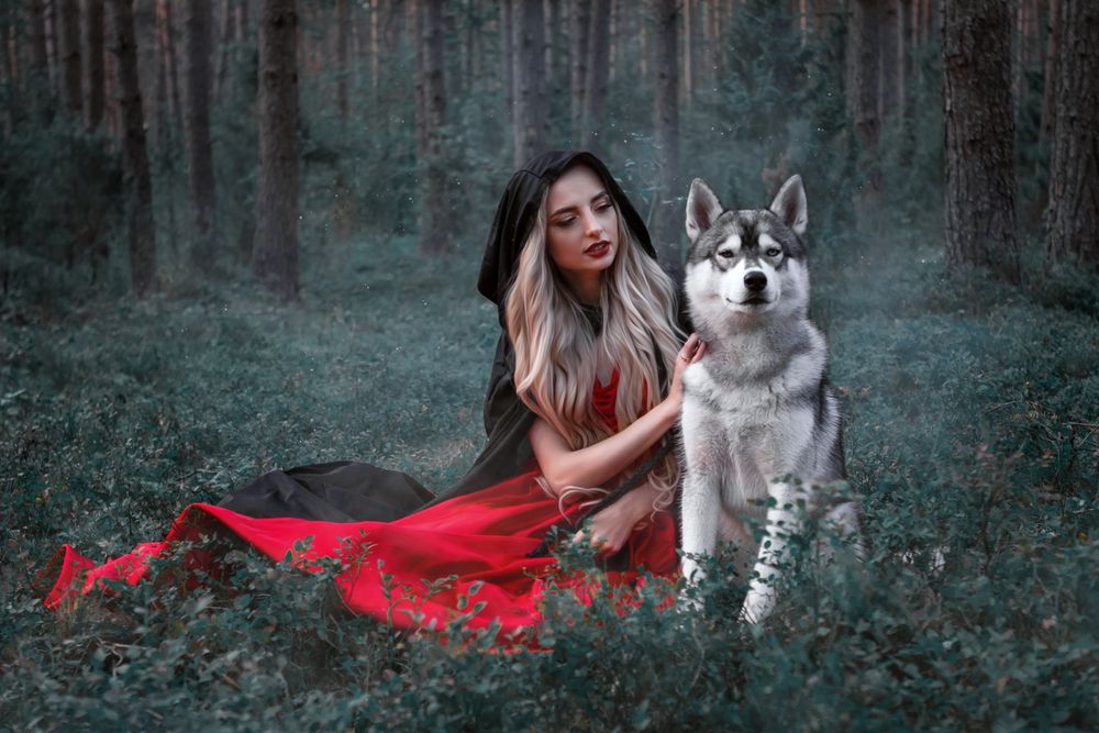 Фотография автора Виктория Трущенко