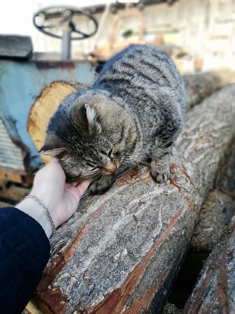 Photograph by Анна Пигулевская