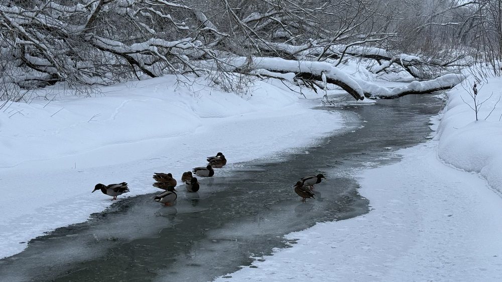 Photograph by Елена Гущина