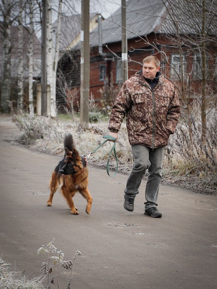 Photograph by Георгий Юркин