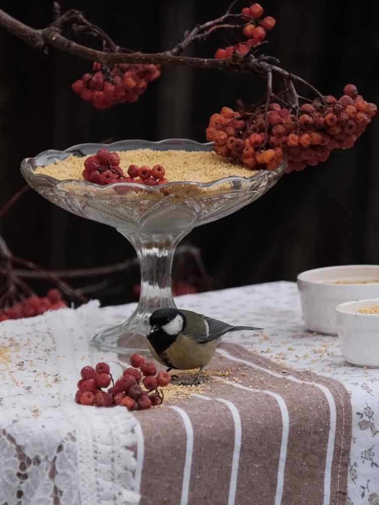 Photograph by Яна Истоцкая