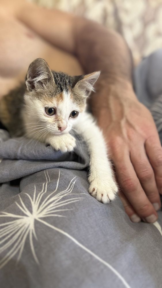 Photograph by Елена Гущина