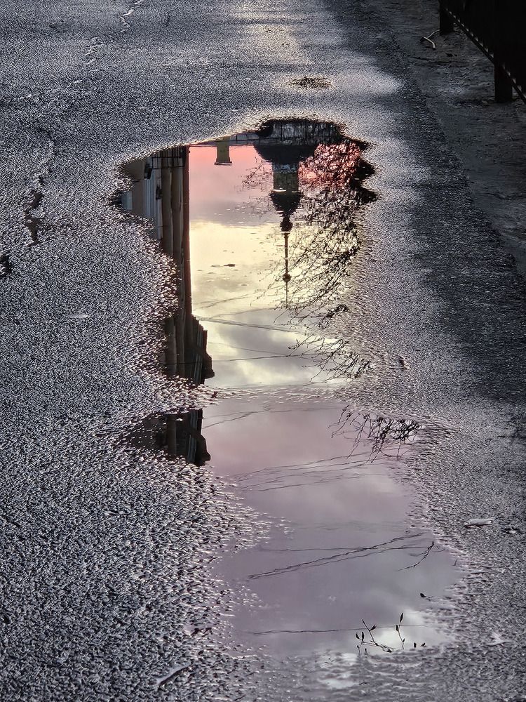 Photograph by Daria Makaidenko