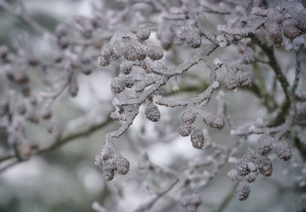 Photograph by Марина Безенкина