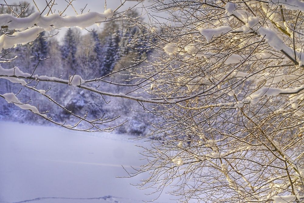 Photograph by Марина Безенкина