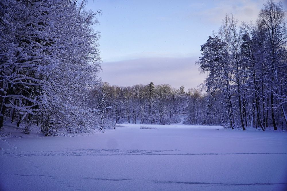 Photograph by Марина Безенкина