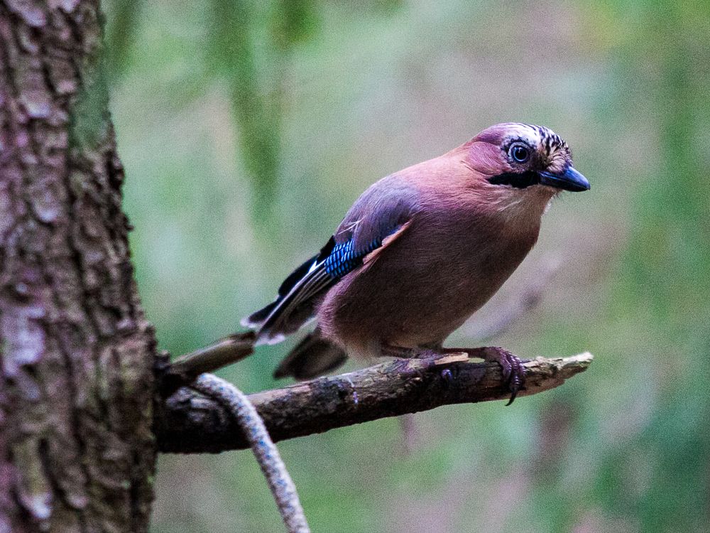 Photograph by Лолита Богачева