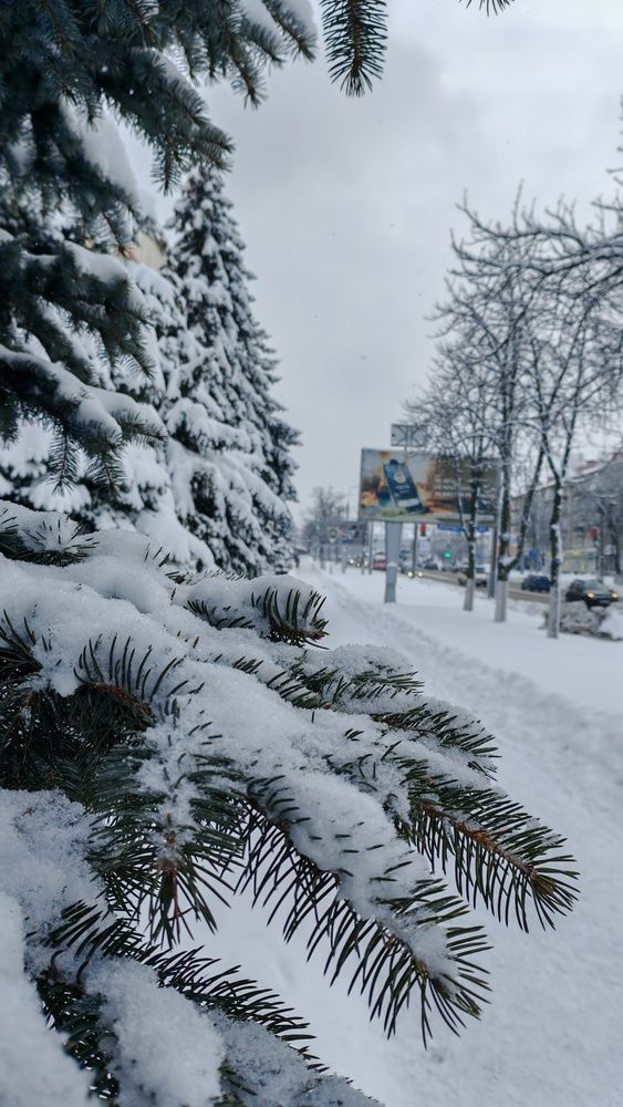Photograph by Светлана Вергеенко