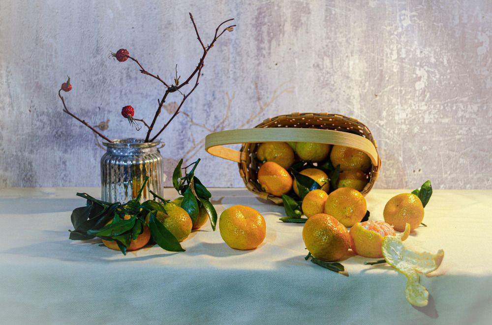 Фотография автора Анна Потапова