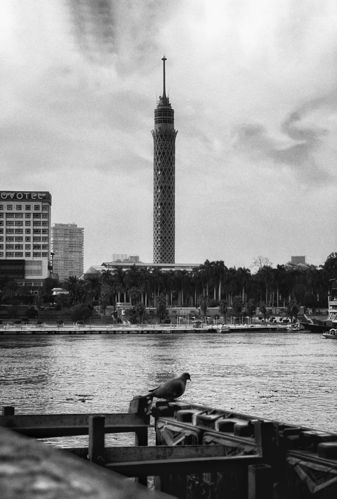 Photograph by Al sayed Ibrahim