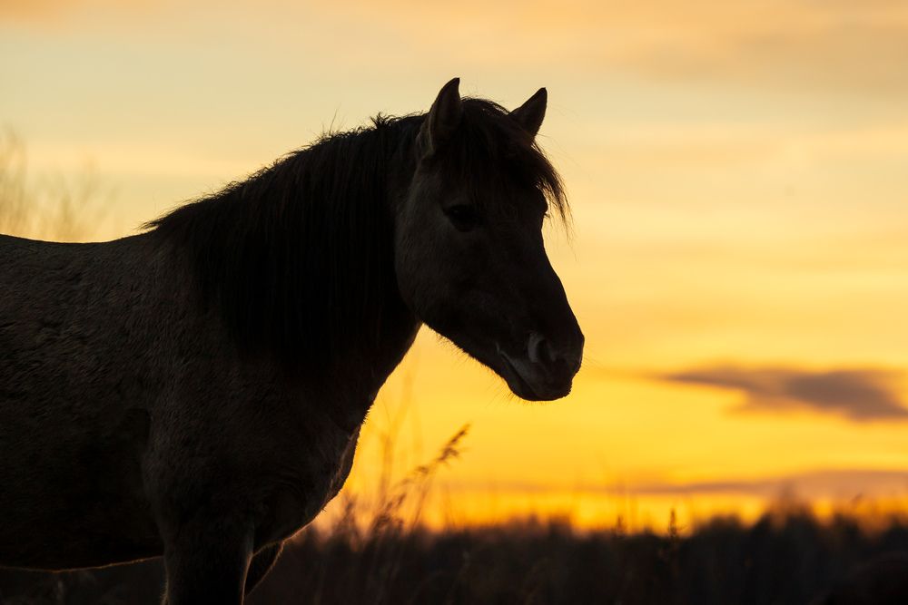Photograph by Александр Тарасевич