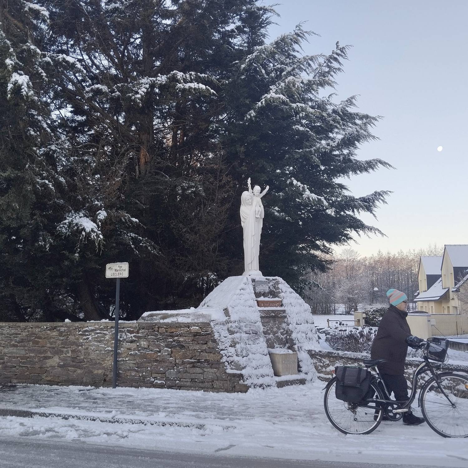 Photo #13120294