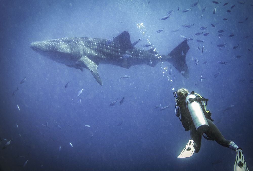 Photograph by Никита Костылёв