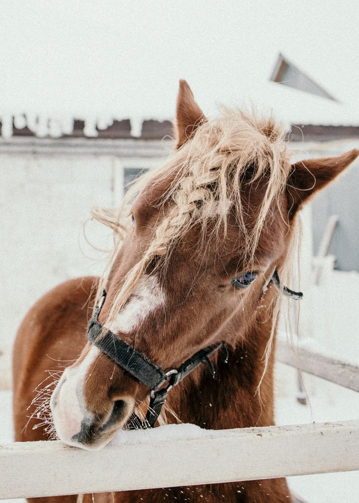 Photograph by Диана Минабутдинова