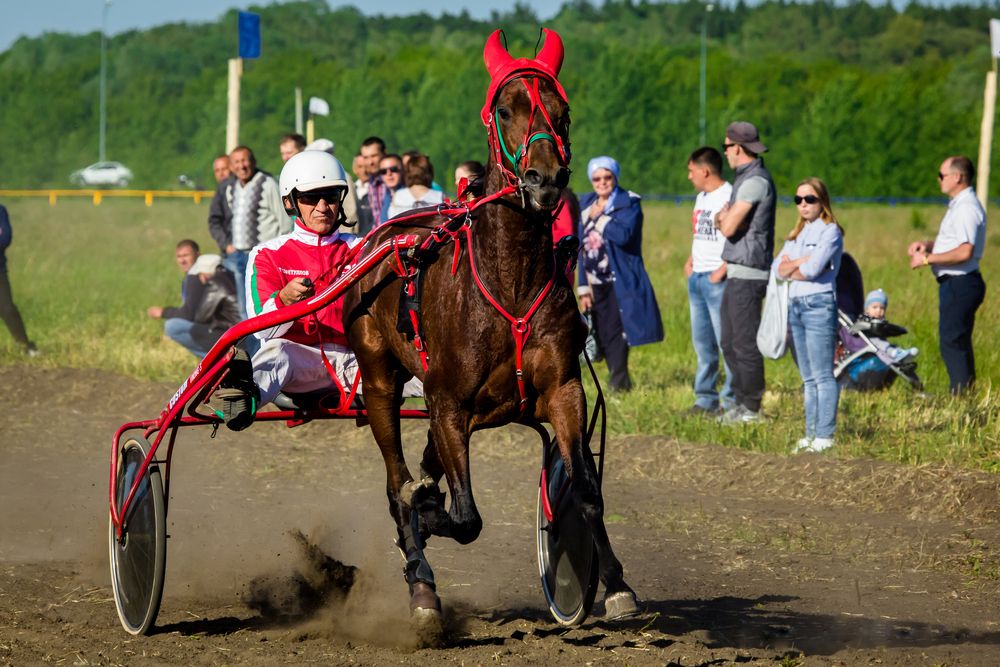 Photograph by Владимир Говоров
