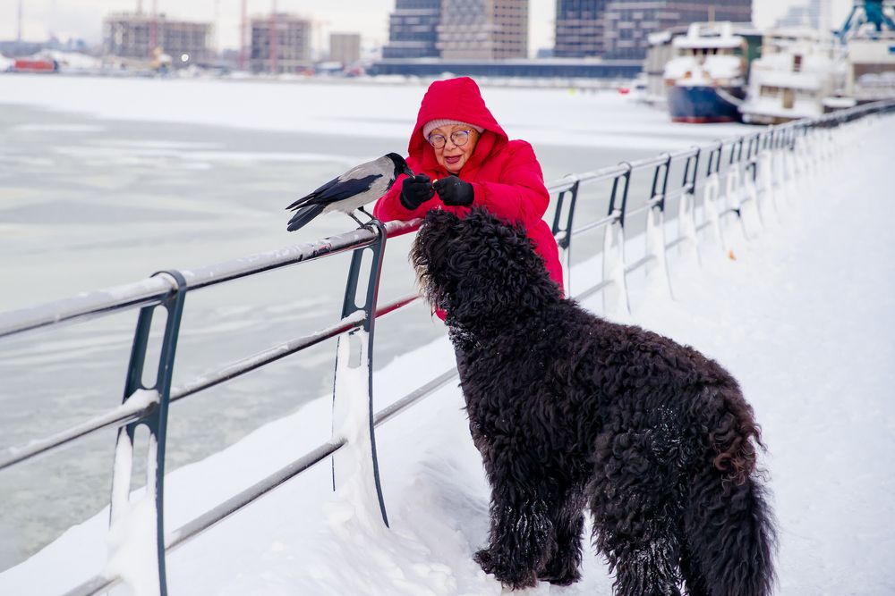 Photograph by Владимир Говоров